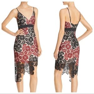 NWT Bardot Eve Asymmetrical Lace Overlay Nude Lining Floral Dress Size US 8